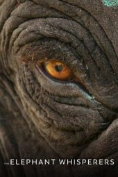 Nonton Film The Elephant Whisperers (2022) Terbaru